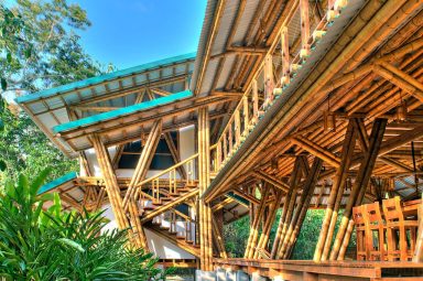 arquitetura bambu